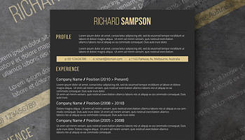 dark resume design