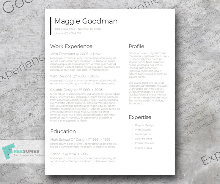 classic sleek resume design