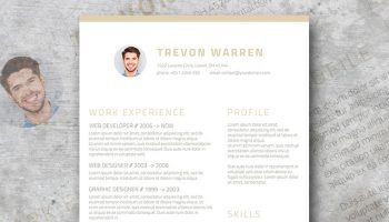 clean resume template for word