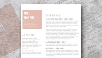 rose gold resume design