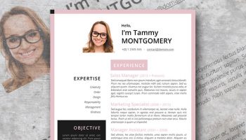 the feminine resume template
