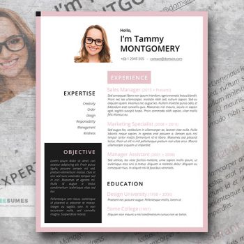 the feminine resume template