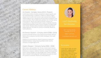 perfect day resume template