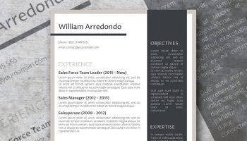 the efficient layout resume