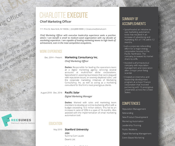 resume template for an executive position