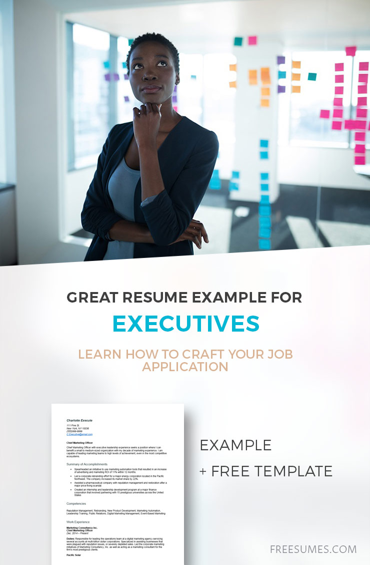 sample executive resume
