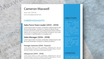 the strategist resume template