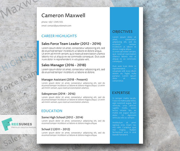 the strategist resume template