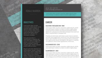 resume for qa executive   88