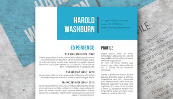 the visionaire resume template