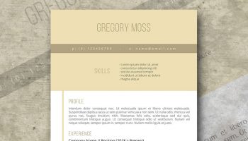 ready for the world resume template