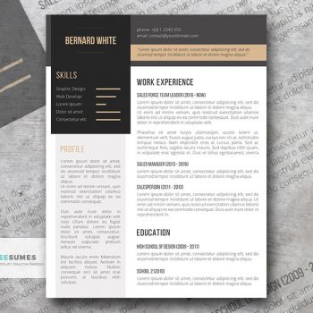 simplexing resume template