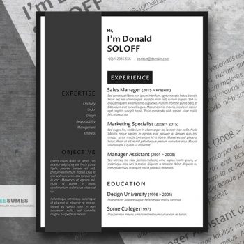 the classic pro resume template