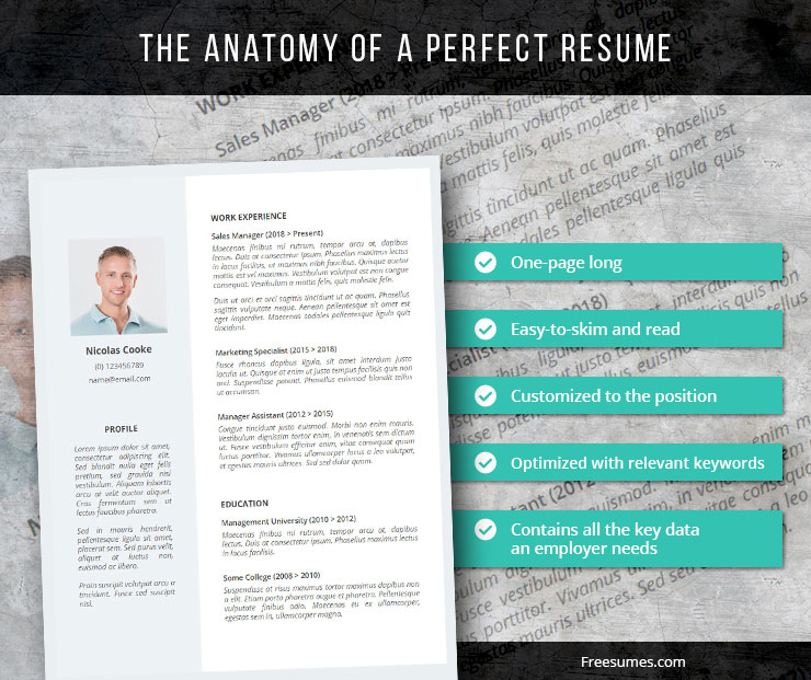 the anatomy of perfect resume