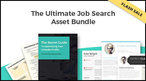 ultimate job search asset bundle