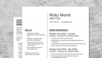 free 2-page CV template administrator