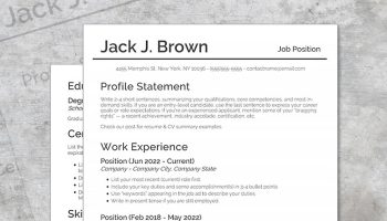 free 2-page businesslike CV template
