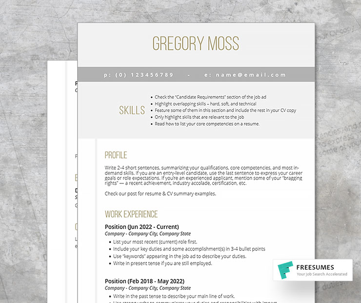 free 2-page professional CV template