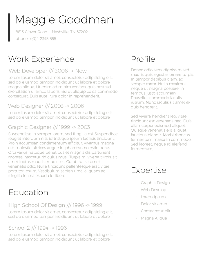 classic and sleek resume template